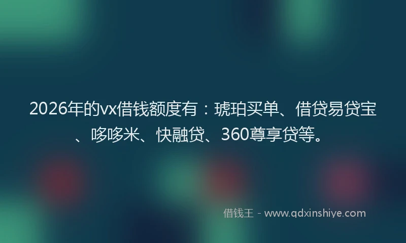 2026年的vx借钱额度有:琥珀买单、借贷易贷宝、哆哆米、快融贷、360尊享贷等。