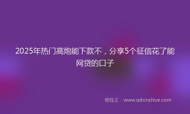 2025年热门高炮能下款不，分享5个征信花了能网贷的口子