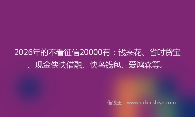 2026年的不看征信20000有:钱来花、省时贷宝、现金侠快借融、快鸟钱包、爱鸿森等。