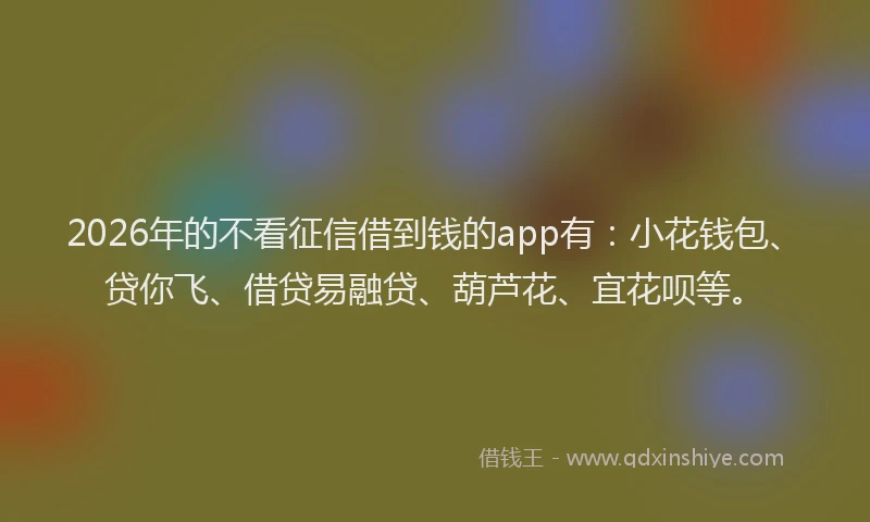 2026年的不看征信借到钱的app有:小花钱包、贷你飞、借贷易融贷、葫芦花、宜花呗等。