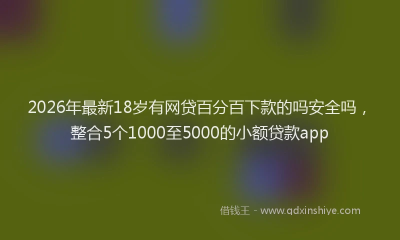 2026年最新18岁有网贷百分百下款的吗安全吗，整合5个1000至5000的小额贷款app
