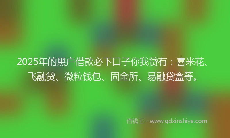 2025年的黑户借款必下口子你我贷有：喜米花、飞融贷、微粒钱包、固金所、易融贷盒等。