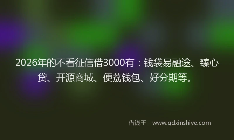 2026年的不看征信借3000有：钱袋易融途、臻心贷、开源商城、便荔钱包、好分期等。