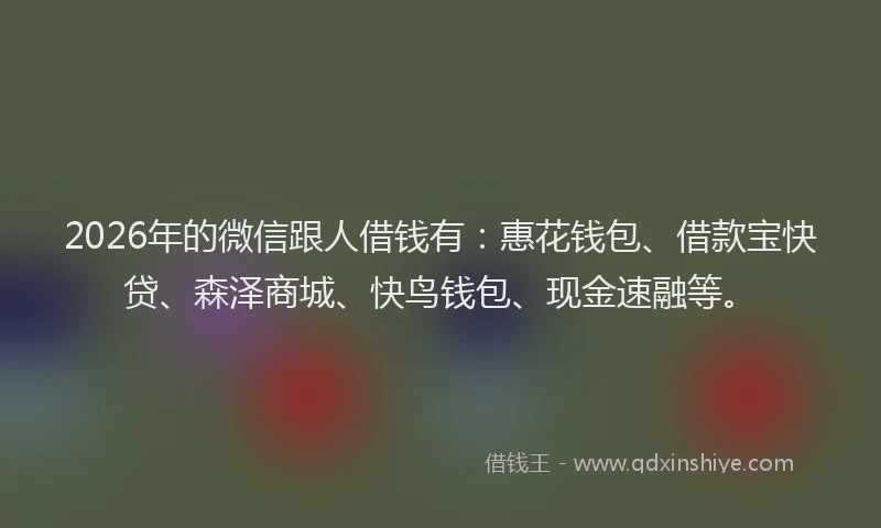 2026年的微信跟人借钱有：惠花钱包、借款宝快贷、森泽商城、快鸟钱包、现金速融等。