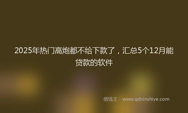 2025年热门高炮都不给下款了，汇总5个12月能贷款的软件