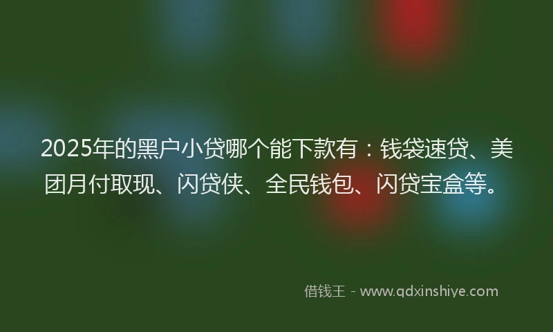 2025年的黑户小贷哪个能下款有:钱袋速贷、美团月付取现、闪贷侠、全民钱包、闪贷宝盒等。