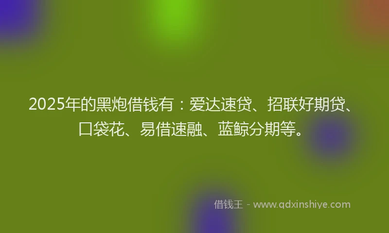 2025年的黑炮借钱有：爱达速贷、招联好期贷、口袋花、易借速融、蓝鲸分期等。