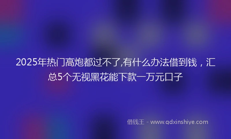 2025年热门高炮都过不了,有什么办法借到钱，汇总5个无视黑花能下款一万元口子