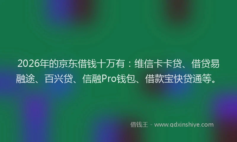 2026年的京东借钱十万有：维信卡卡贷、借贷易融途、百兴贷、信融Pro钱包、借款宝快贷通等。