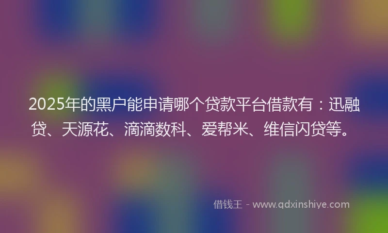 2025年的黑户能申请哪个贷款平台借款有：迅融贷、天源花、滴滴数科、爱帮米、维信闪贷等。
