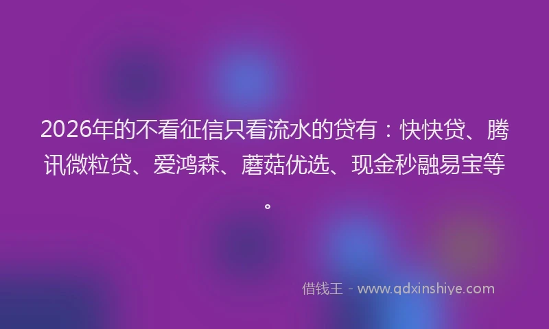 2026年的不看征信只看流水的贷有：快快贷、腾讯微粒贷、爱鸿森、蘑菇优选、现金秒融易宝等。