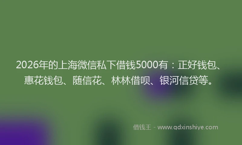 2026年的上海微信私下借钱5000有:正好钱包、惠花钱包、随信花、林林借呗、银河信贷等。