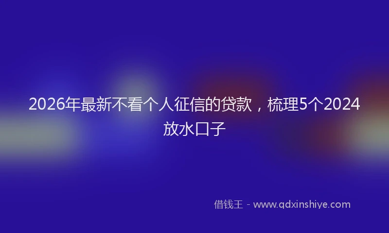 2026年最新不看个人征信的贷款,梳理5个2024放水口子