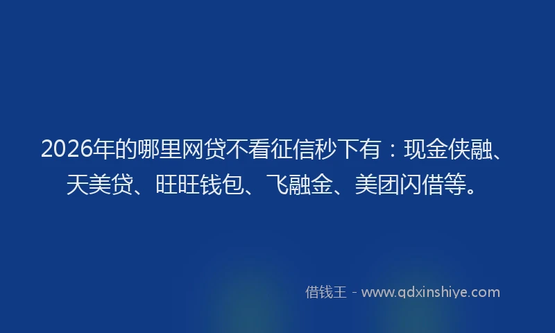 2026年的哪里网贷不看征信秒下有:现金侠融、天美贷、旺旺钱包、飞融金、美团闪借等。