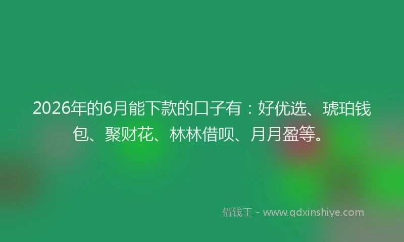 2026年的6月能下款的口子有:好优选、琥珀钱包、聚财花、林林借呗、月月盈等。