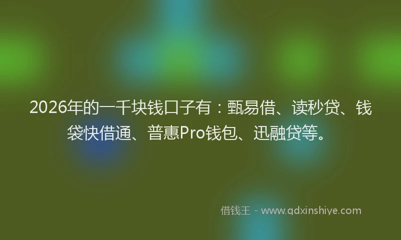 2026年的一千块钱口子有：甄易借、读秒贷、钱袋快借通、普惠Pro钱包、迅融贷等。