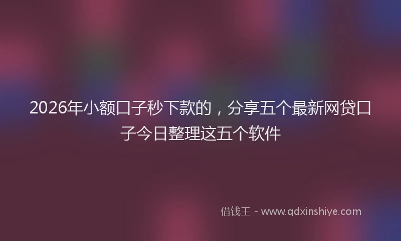 2026年小额口子秒下款的，分享五个最新网贷口子今日整理这五个软件