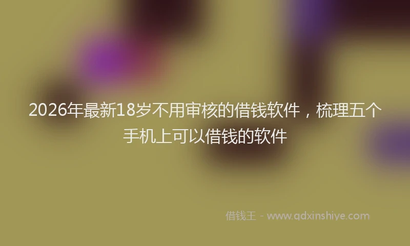 2026年最新18岁不用审核的借钱软件，梳理五个手机上可以借钱的软件