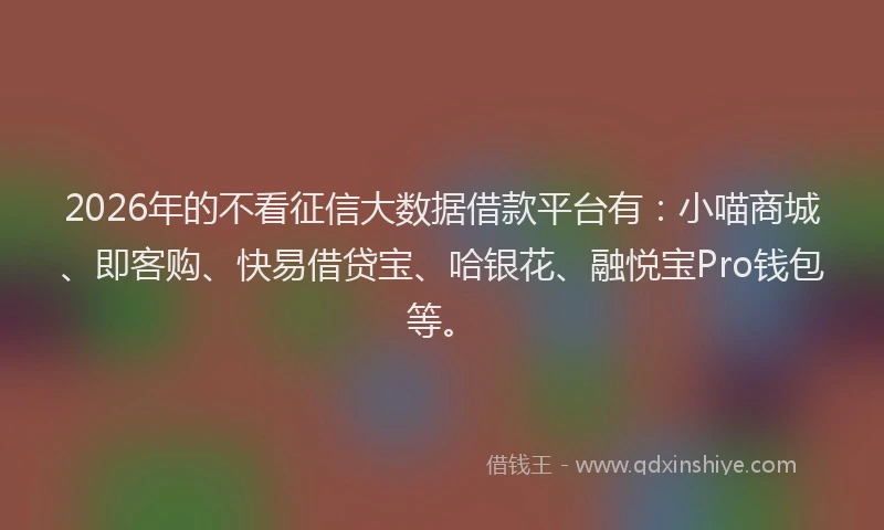 2026年的不看征信大数据借款平台有：小喵商城、即客购、快易借贷宝、哈银花、融悦宝Pro钱包等。