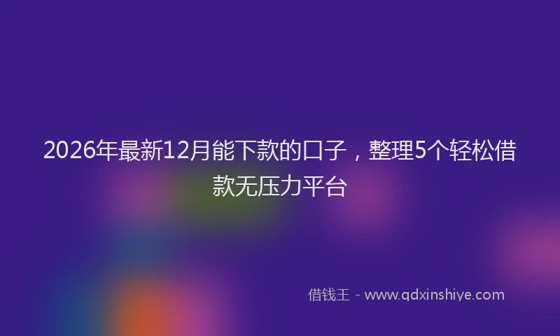 2026年最新12月能下款的口子，整理5个轻松借款无压力平台