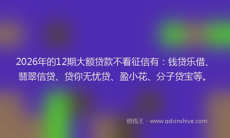 2026年的12期大额贷款不看征信有：钱贷乐借、翡翠信贷、贷你无忧贷、盈小花、分子贷宝等。