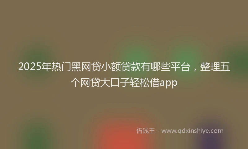2025年热门黑网贷小额贷款有哪些平台，整理五个网贷大口子轻松借app