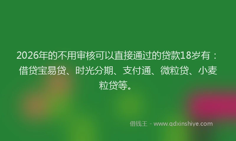 2026年的不用审核可以直接通过的贷款18岁有:借贷宝易贷、时光分期、支付通、微粒贷、小麦粒贷等。
