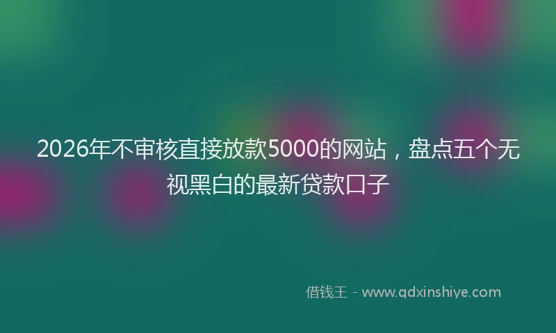 2026年不审核直接放款5000的网站，盘点五个无视黑白的最新贷款口子