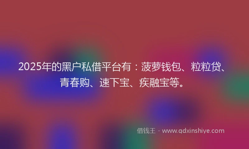 2025年的黑户私借平台有:菠萝钱包、粒粒贷、青春购、速下宝、疾融宝等。