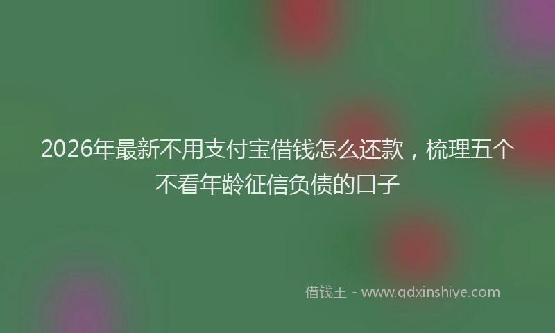 2026年最新不用支付宝借钱怎么还款,梳理五个不看年龄征信负债的口子