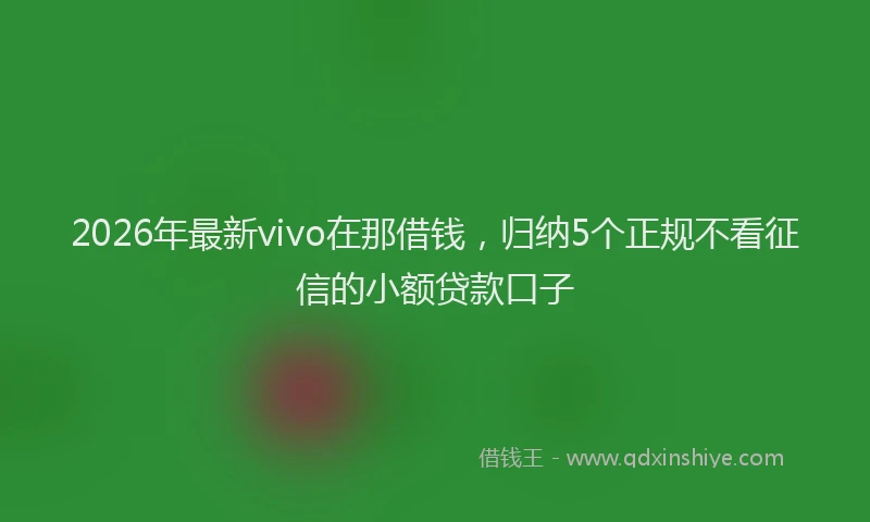 2026年最新vivo在那借钱，归纳5个正规不看征信的小额贷款口子