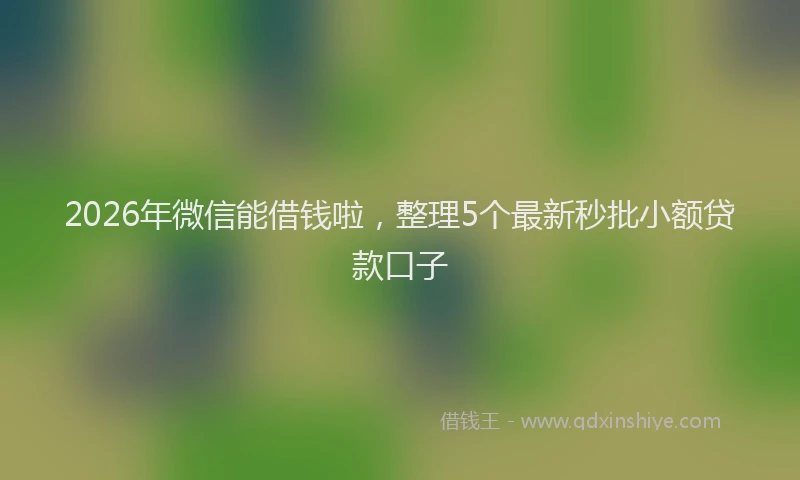 2026年微信能借钱啦，整理5个最新秒批小额贷款口子