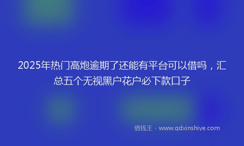 2025年热门高炮逾期了还能有平台可以借吗，汇总五个无视黑户花户必下款口子