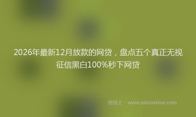 2026年最新12月放款的网贷，盘点五个真正无视征信黑白100%秒下网贷