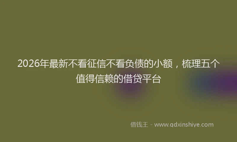 2026年最新不看征信不看负债的小额,梳理五个值得信赖的借贷平台