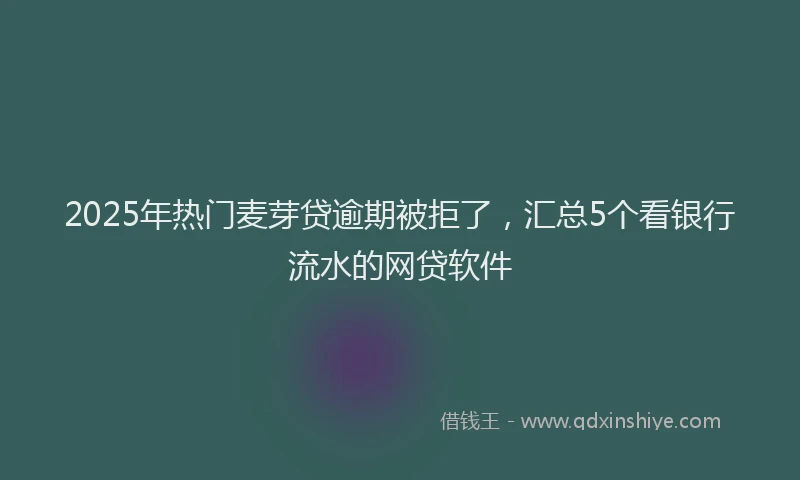 2025年热门麦芽贷逾期被拒了，汇总5个看银行流水的网贷软件