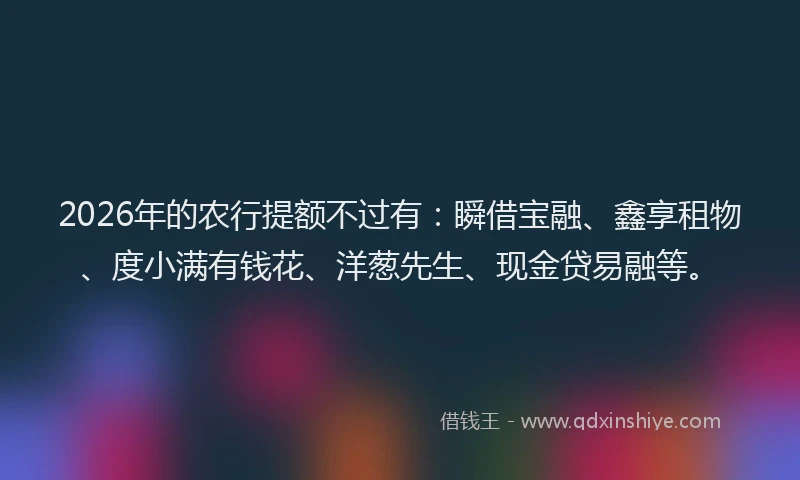 2026年的农行提额不过有：瞬借宝融、鑫享租物、度小满有钱花、洋葱先生、现金贷易融等。