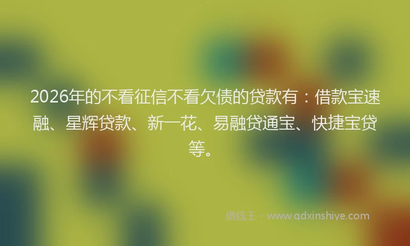 2026年的不看征信不看欠债的贷款有:借款宝速融、星辉贷款、新一花、易融贷通宝、快捷宝贷等。