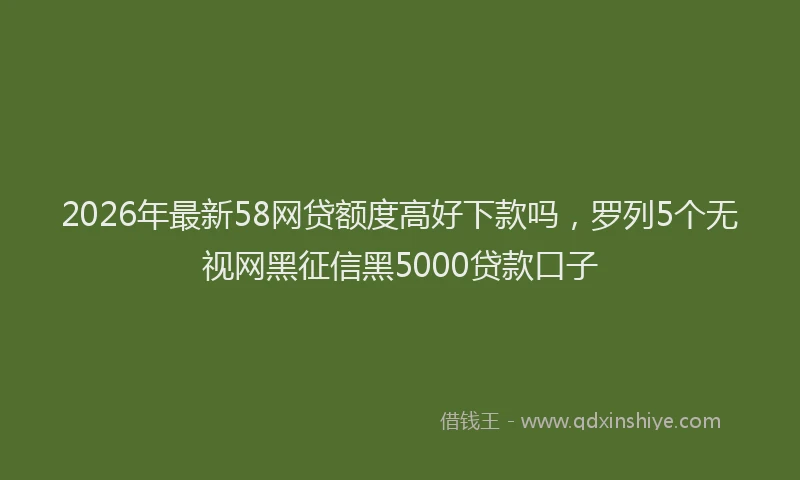 2026年最新58网贷额度高好下款吗，罗列5个无视网黑征信黑5000贷款口子