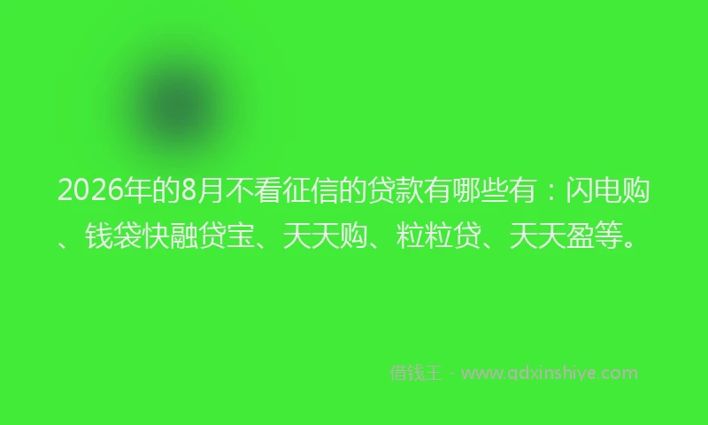 2026年的8月不看征信的贷款有哪些有：闪电购、钱袋快融贷宝、天天购、粒粒贷、天天盈等。