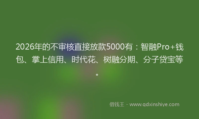 2026年的不审核直接放款5000有:智融Pro+钱包、掌上信用、时代花、树融分期、分子贷宝等。