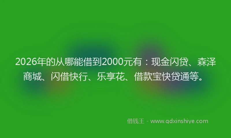 2026年的从哪能借到2000元有：现金闪贷、森泽商城、闪借快行、乐享花、借款宝快贷通等。