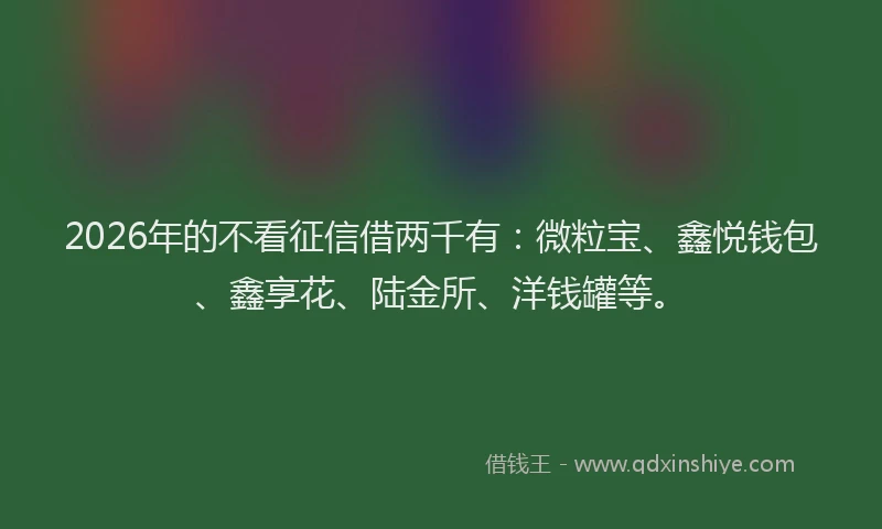 2026年的不看征信借两千有:微粒宝、鑫悦钱包、鑫享花、陆金所、洋钱罐等。