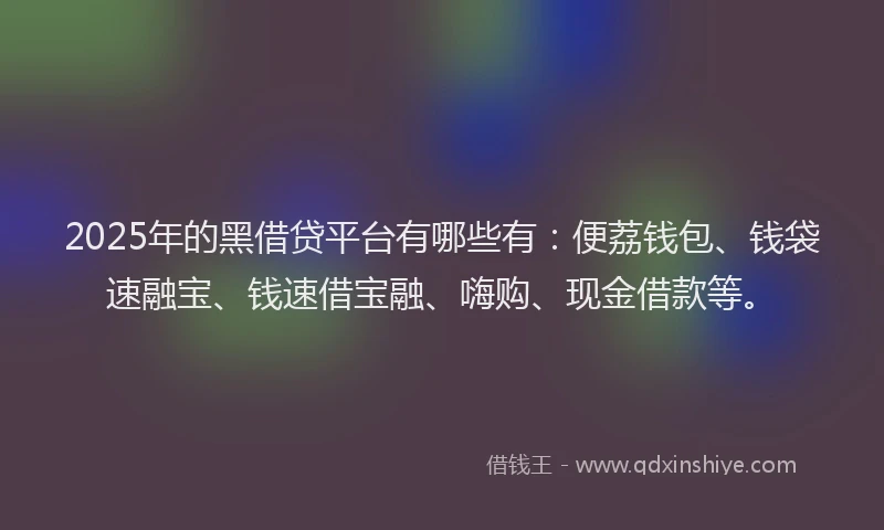2025年的黑借贷平台有哪些有：便荔钱包、钱袋速融宝、钱速借宝融、嗨购、现金借款等。