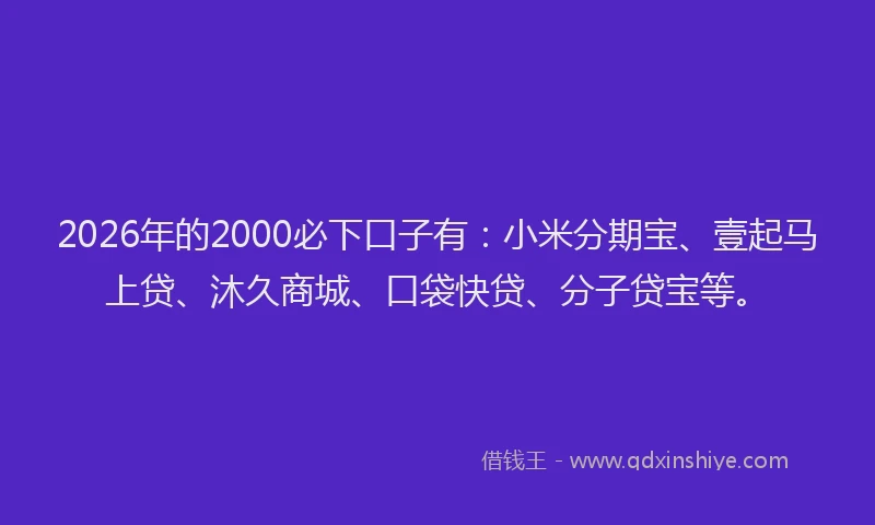 2026年的2000必下口子有：小米分期宝、壹起马上贷、沐久商城、口袋快贷、分子贷宝等。