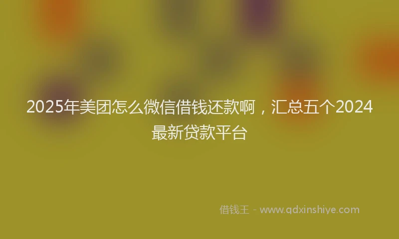 2025年美团怎么微信借钱还款啊，汇总五个2024最新贷款平台