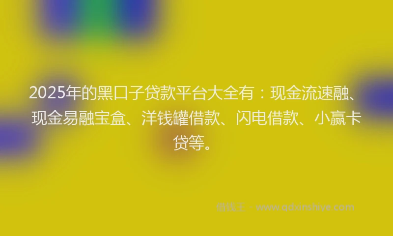 2025年的黑口子贷款平台大全有：现金流速融、现金易融宝盒、洋钱罐借款、闪电借款、小赢卡贷等。