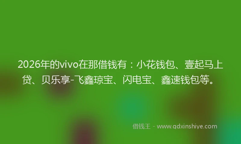 2026年的vivo在那借钱有：小花钱包、壹起马上贷、贝乐享-飞鑫琼宝、闪电宝、鑫速钱包等。