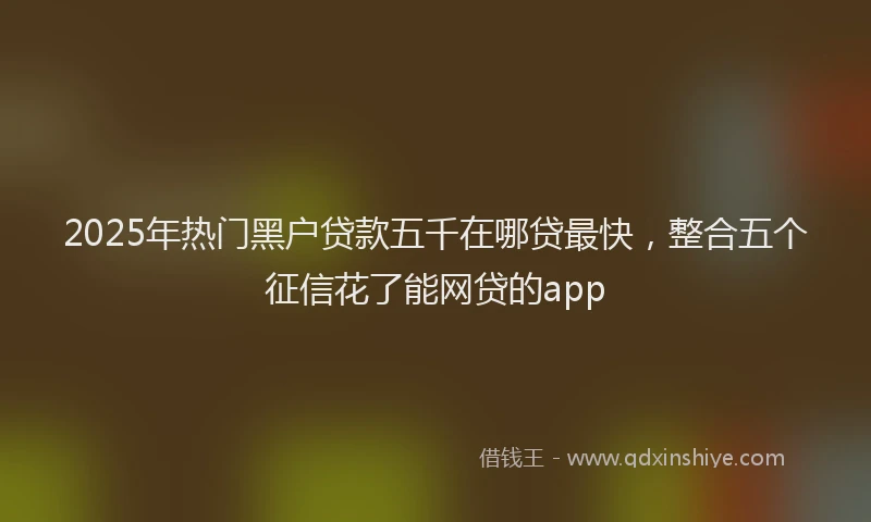 2025年热门黑户贷款五千在哪贷最快，整合五个征信花了能网贷的app