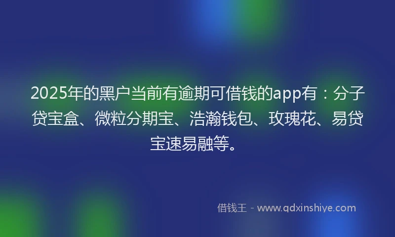 2025年的黑户当前有逾期可借钱的app有：分子贷宝盒、微粒分期宝、浩瀚钱包、玫瑰花、易贷宝速易融等。